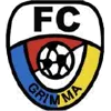 FC Grimma III