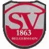 SV 1863 Belgershain II
