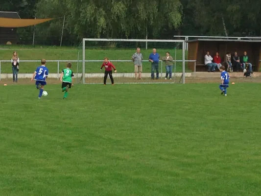 29.08.2015 SG Großbothen vs. TSV Großsteinberg