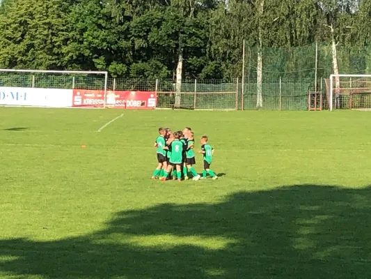 03.06.2019 VfB Leisnig vs. SG Sermuth Großb.